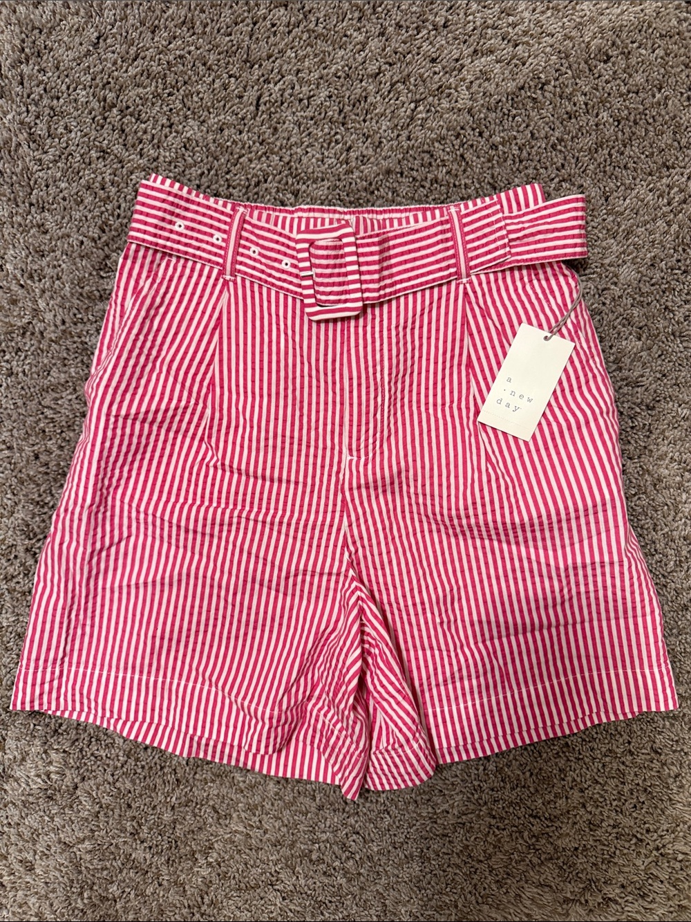 A New Day Striped High Waisted Belted Shorts